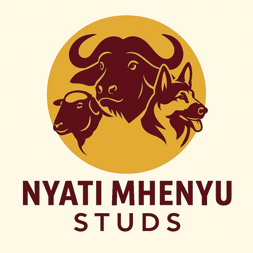 Nyati Mhenyu Studs